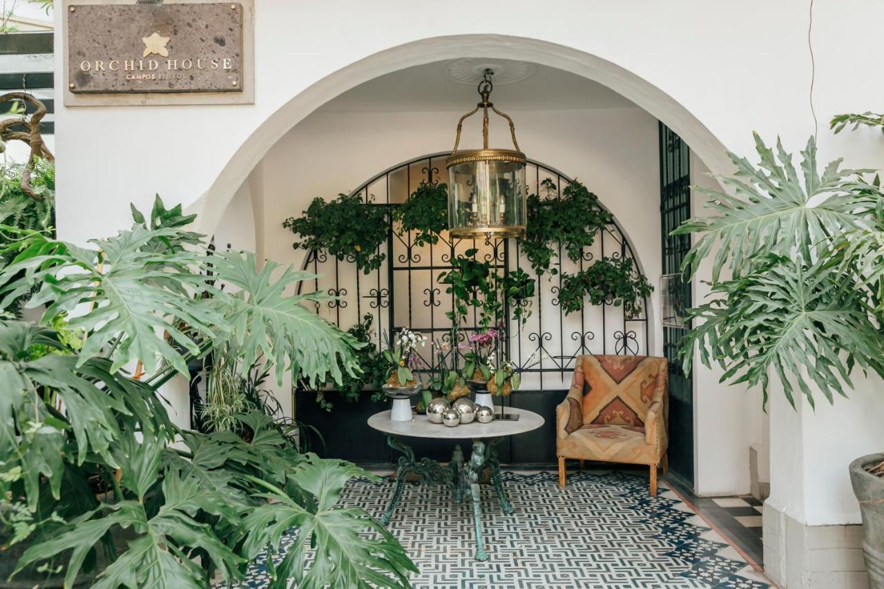 Hotel Orchid House Polanco Meksyk Zewnętrze zdjęcie