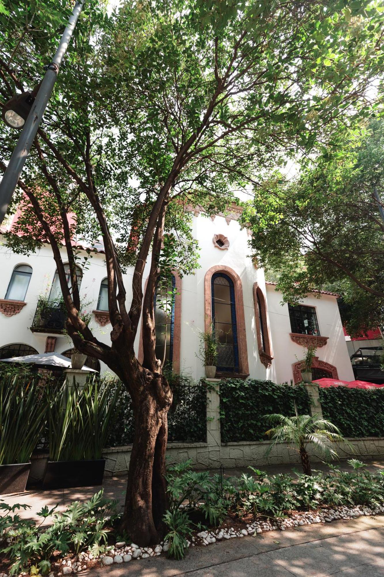 Hotel Orchid House Polanco Meksyk Zewnętrze zdjęcie