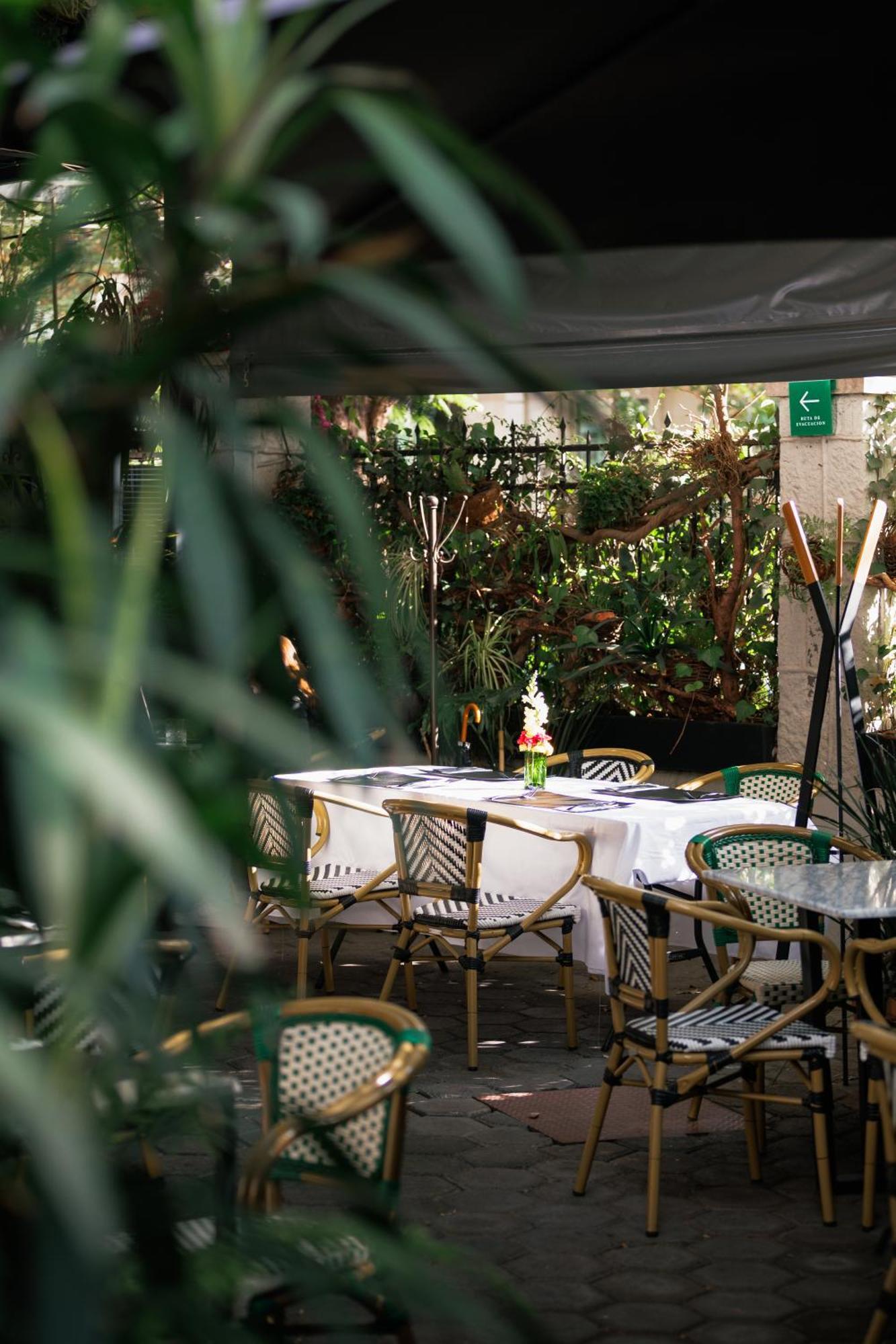 Hotel Orchid House Polanco Meksyk Zewnętrze zdjęcie