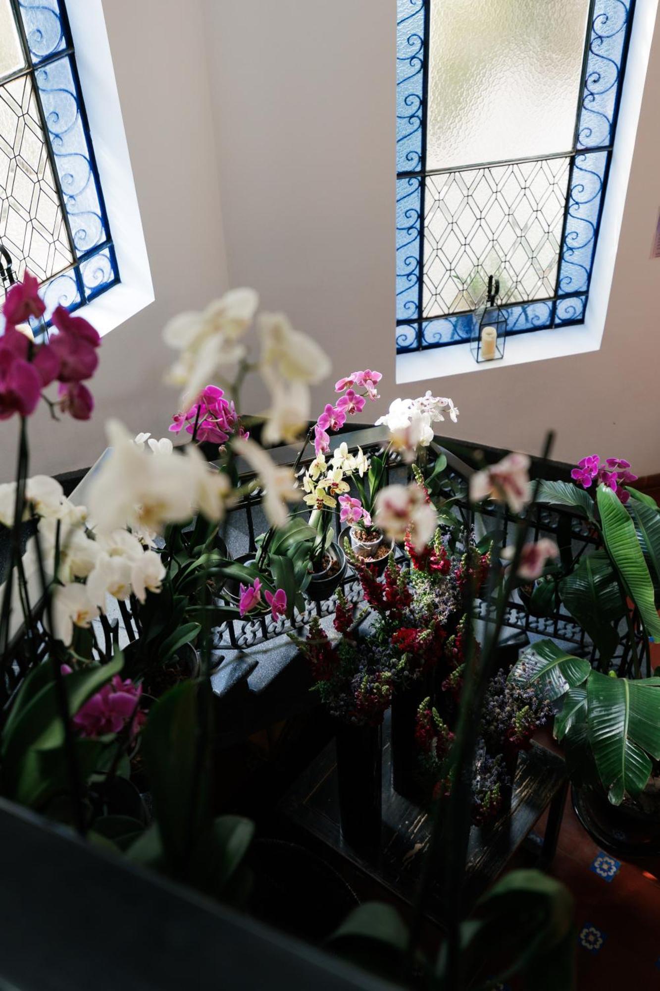 Hotel Orchid House Polanco Meksyk Zewnętrze zdjęcie