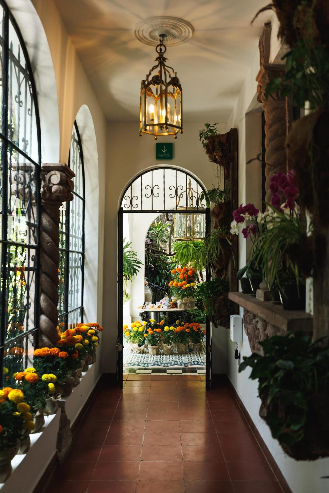 Hotel Orchid House Polanco Meksyk Zewnętrze zdjęcie