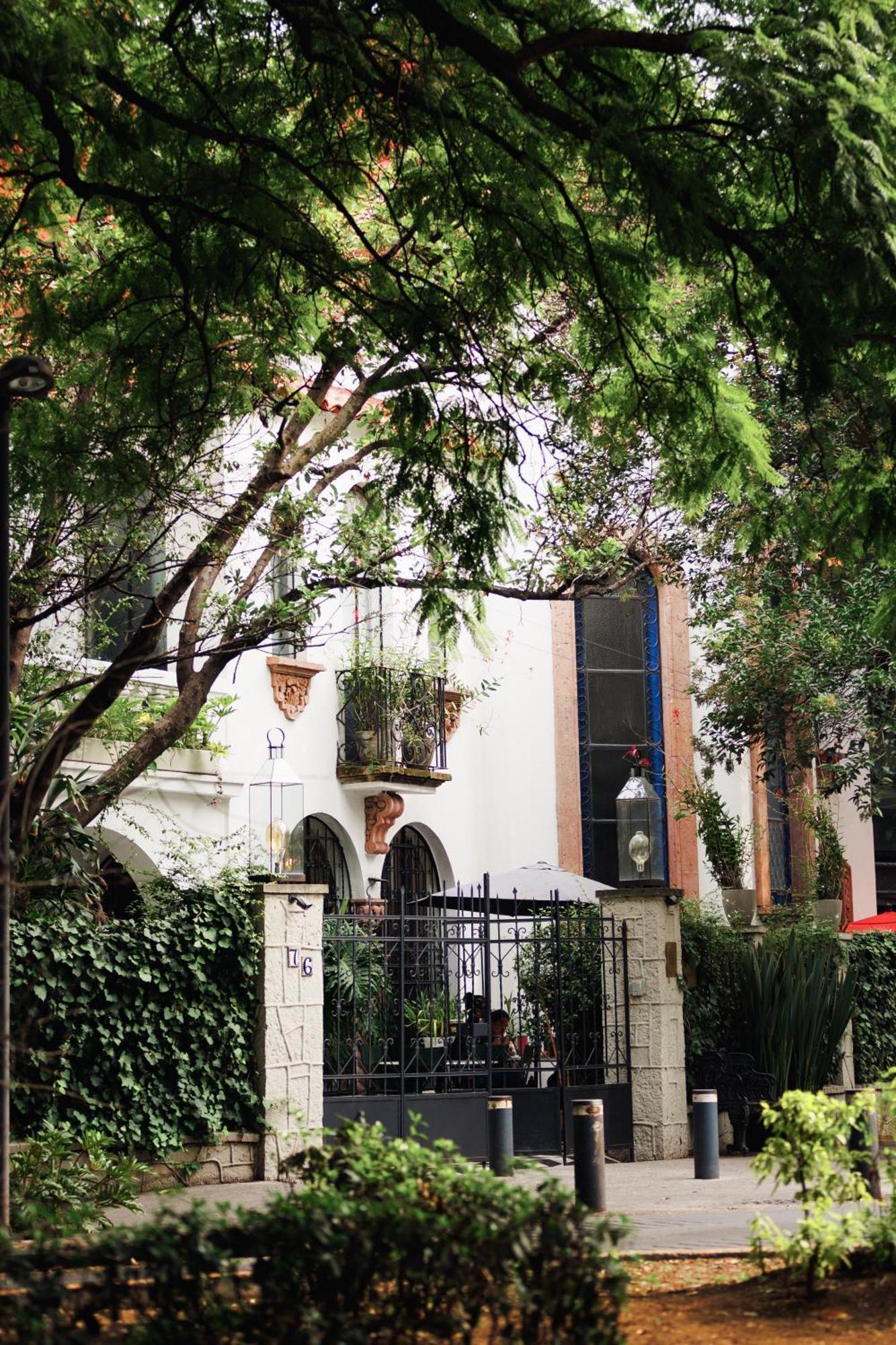 Hotel Orchid House Polanco Meksyk Zewnętrze zdjęcie