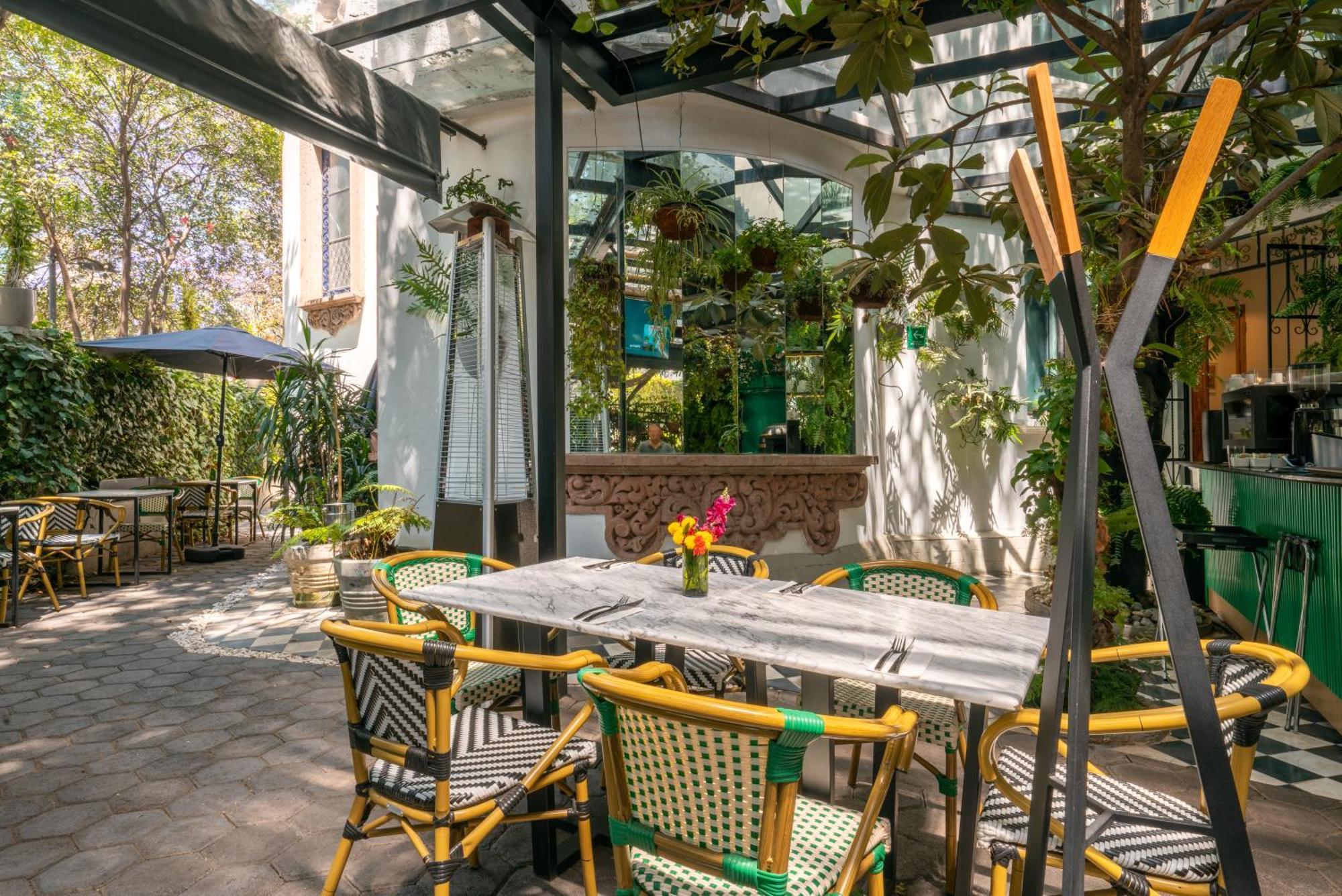 Hotel Orchid House Polanco Meksyk Zewnętrze zdjęcie