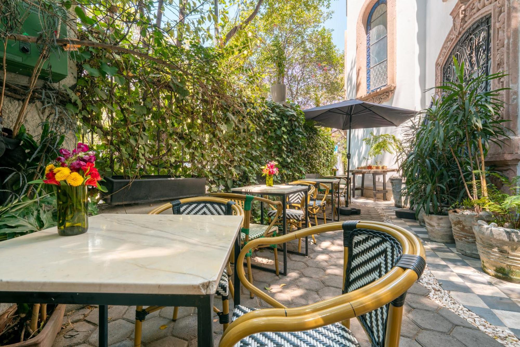 Hotel Orchid House Polanco Meksyk Zewnętrze zdjęcie