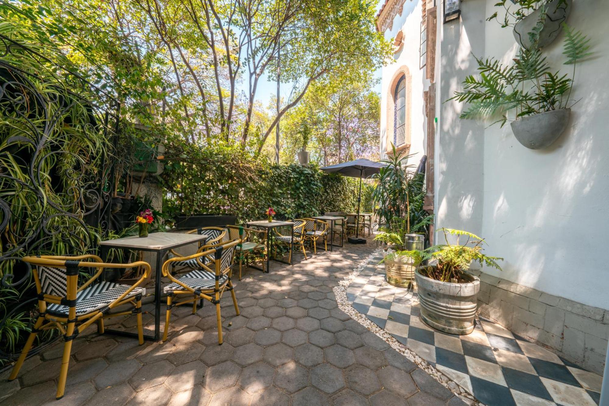 Hotel Orchid House Polanco Meksyk Zewnętrze zdjęcie