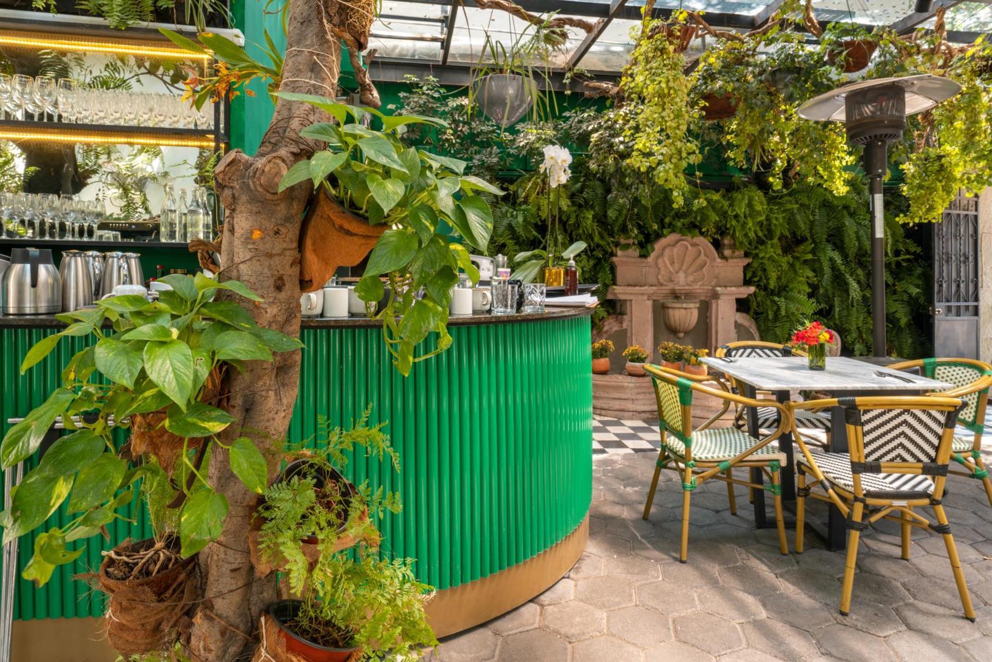 Hotel Orchid House Polanco Meksyk Zewnętrze zdjęcie
